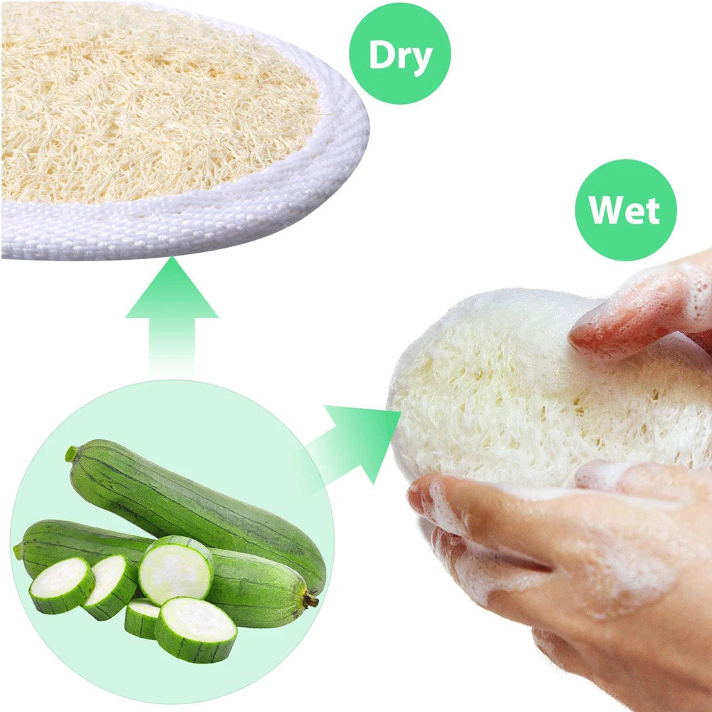 Natural Loofah Scrubber